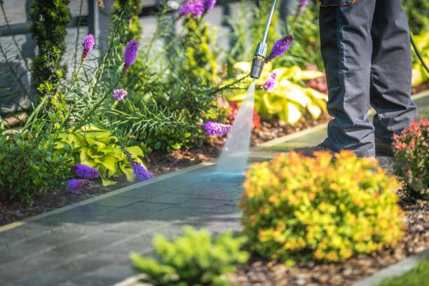 Best Fence Cleaning  in Linden, NJ