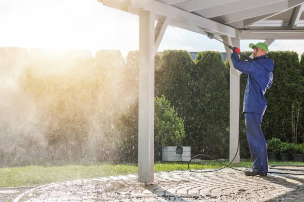 Best Sidewalk and Walkway Cleaning  in Linden, NJ